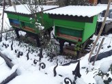 GoltzbeuteWinter.jpg