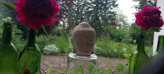 BuddhaFenster